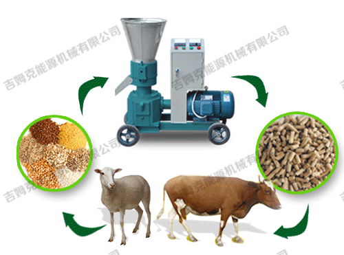 顆粒機(jī)、動物、顆粒